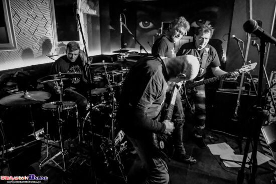 Koncert The Analogs