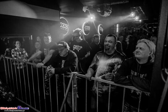 Koncert The Analogs