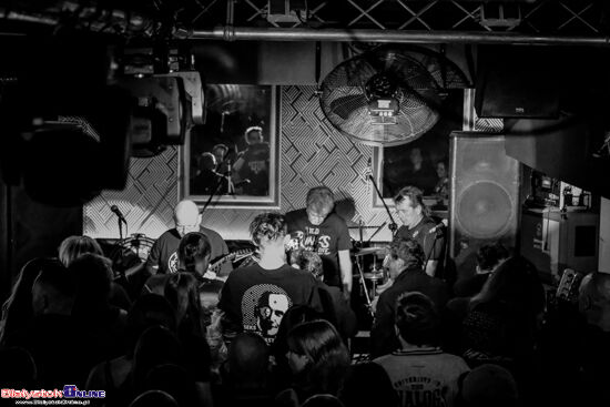 Koncert The Analogs