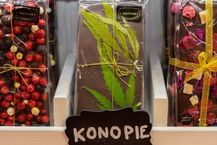 Festiwale: Pierogów - Piwa, Wina i Cydru