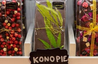 Festiwale: Pierogów - Piwa, Wina i Cydru
