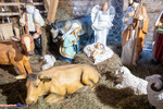 Jarmark Bożonarodzeniowy i żywa szopka na Rynku Kościuszki