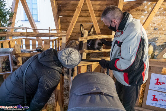 Jarmark Bożonarodzeniowy i żywa szopka na Rynku Kościuszki
