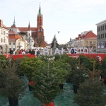 Akcja "Choinka" na Rynku Kościuszki