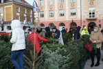 Akcja "Choinka" na Rynku Kościuszki