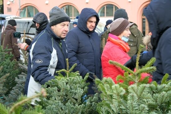 Akcja "Choinka" na Rynku Kościuszki