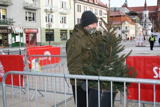Akcja "Choinka" na Rynku Kościuszki