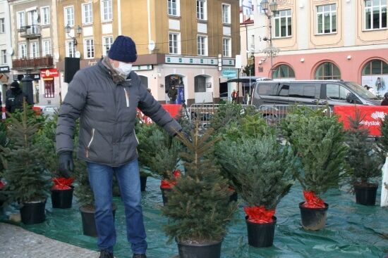 Akcja "Choinka" na Rynku Kościuszki