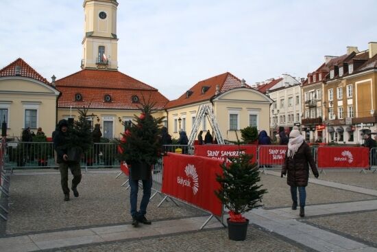 Akcja "Choinka" na Rynku Kościuszki