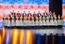 Koncert zespołu Śląsk