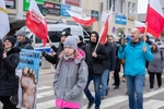 Protest antyszczepionkowców