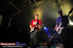 Koncert Dezerter