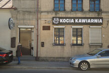 Otwarcie kociej kawiarni