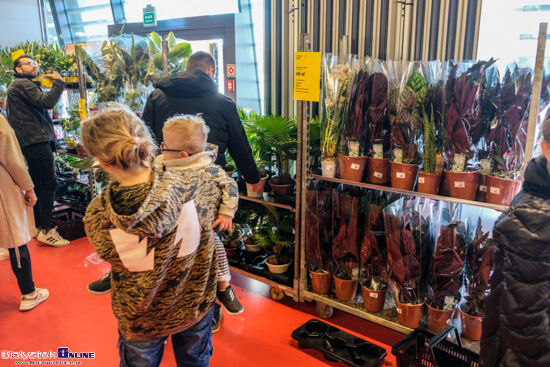 Festiwal Roślin na stadionie miejskim