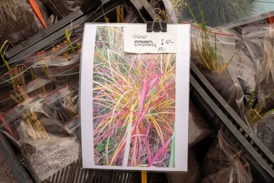 Jarmark "Kresowy Ogród"