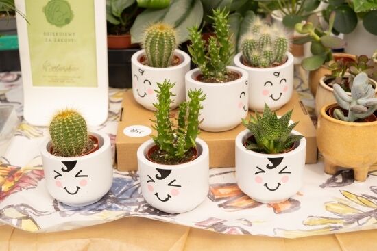 Jarmark "Kresowy Ogród"