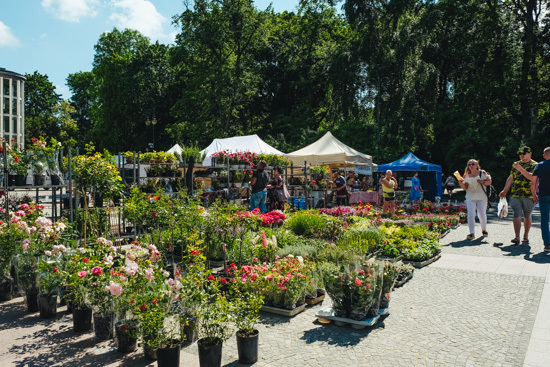 Jarmark rękodzieła i kwiatów