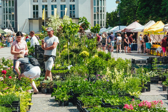 Jarmark rękodzieła i kwiatów