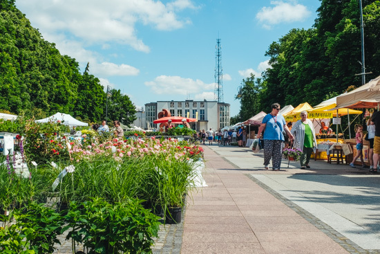 Jarmark rękodzieła i kwiatów