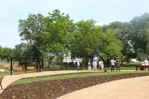 Park kieszonkowy i ogród deszczowy przy al. Tysiąclecia