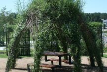 Botaniczny Park Kieszonkowy