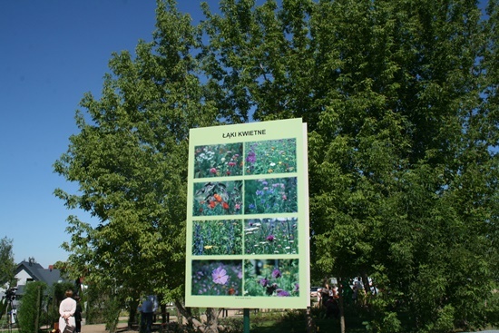 Botaniczny Park Kieszonkowy