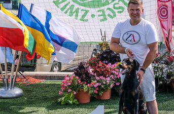 Międzynarodowa Wystawa Psów Rasowych
