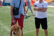 Międzynarodowa Wystawa Psów Rasowych