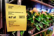 Festiwal Roślin