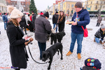 Wielka Orkiestra Świątecznej Pomocy