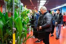 Festiwal Roślin na Stadionie Miejskim
