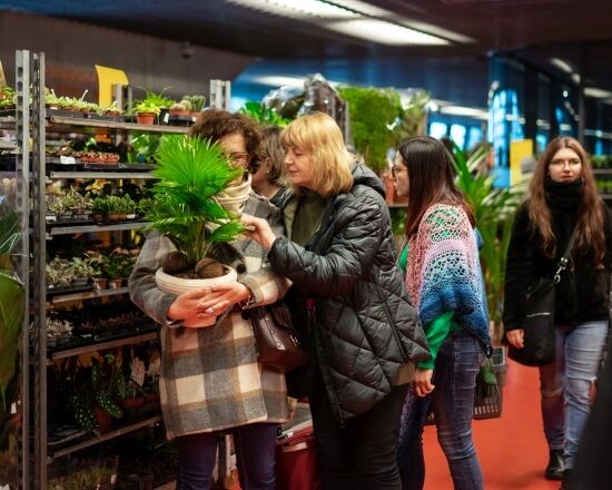 Festiwal Roślin na Stadionie Miejskim