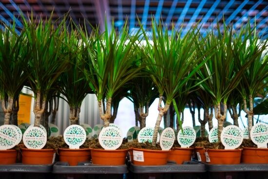 Festiwal Roślin na Stadionie Miejskim