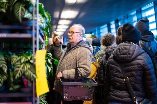 Festiwal Roślin na Stadionie Miejskim