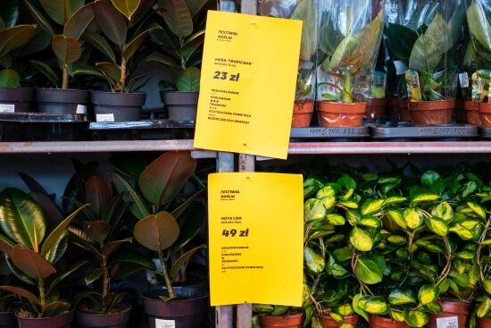 Festiwal Roślin na Stadionie Miejskim