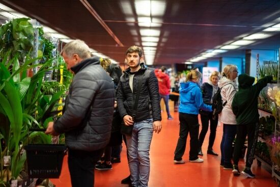 Festiwal Roślin na Stadionie Miejskim