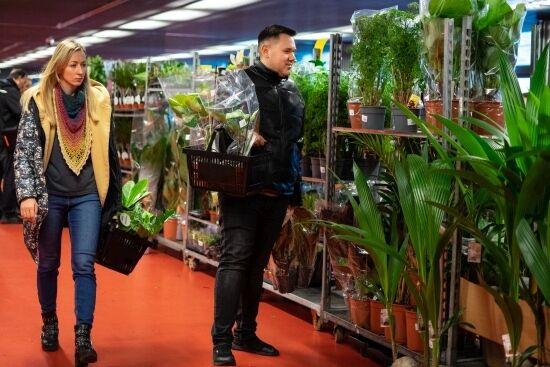 Festiwal Roślin na Stadionie Miejskim