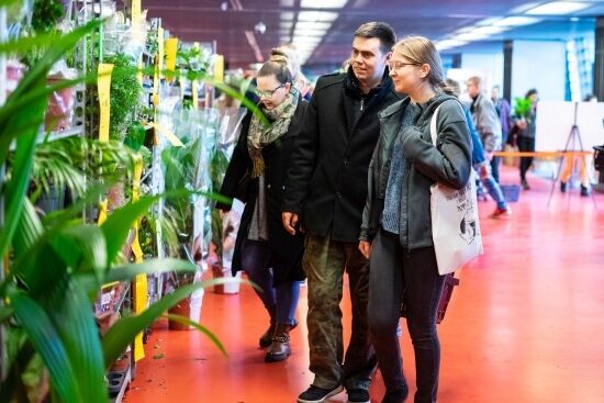 Festiwal Roślin na Stadionie Miejskim