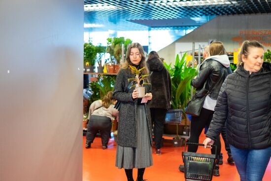 Festiwal Roślin na Stadionie Miejskim