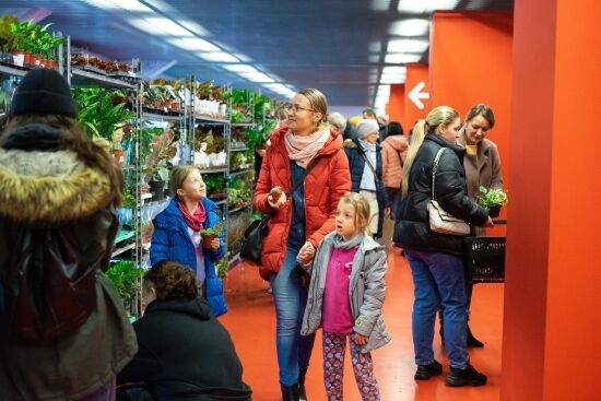 Festiwal Roślin na Stadionie Miejskim