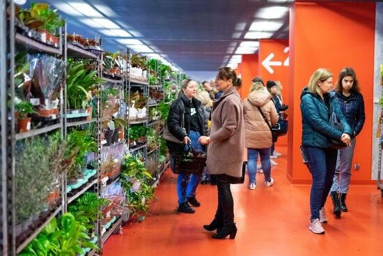 Festiwal Roślin na Stadionie Miejskim