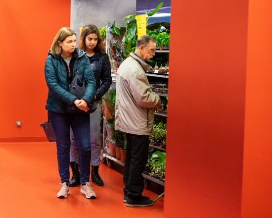 Festiwal Roślin na Stadionie Miejskim