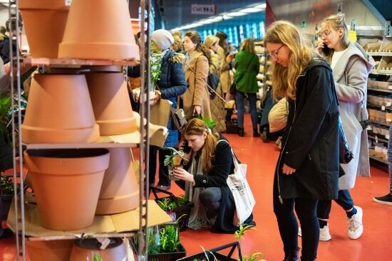 Festiwal Roślin na Stadionie Miejskim