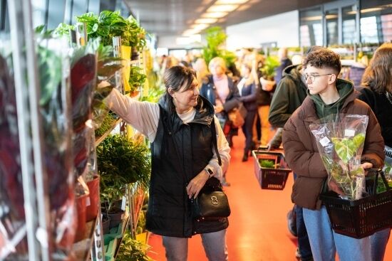 Festiwal Roślin na Stadionie Miejskim