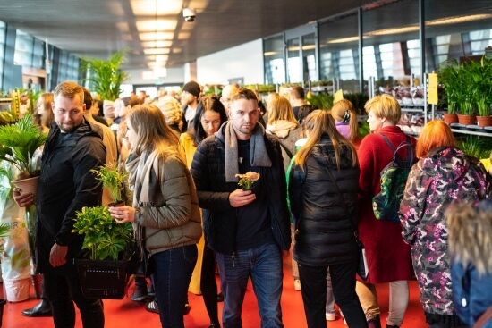 Festiwal Roślin na Stadionie Miejskim