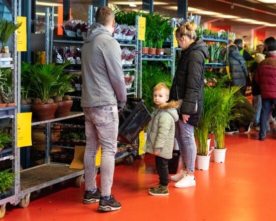 Festiwal Roślin na Stadionie Miejskim