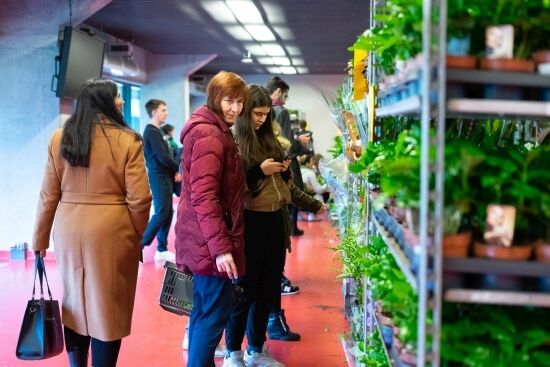 Festiwal Roślin na Stadionie Miejskim