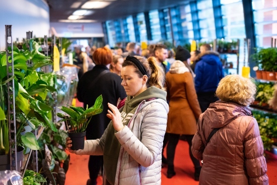 Festiwal Roślin na Stadionie Miejskim