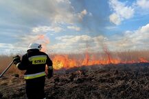 Pożar przy Jeziorze Zygmunta Augusta