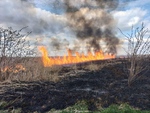 Pożar przy Jeziorze Zygmunta Augusta